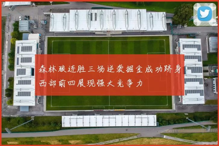 森林狼连胜三场逆袭掘金成功跻身西部前四展现强大竞争力